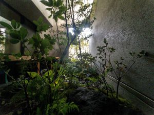 福岡県福岡市早良区