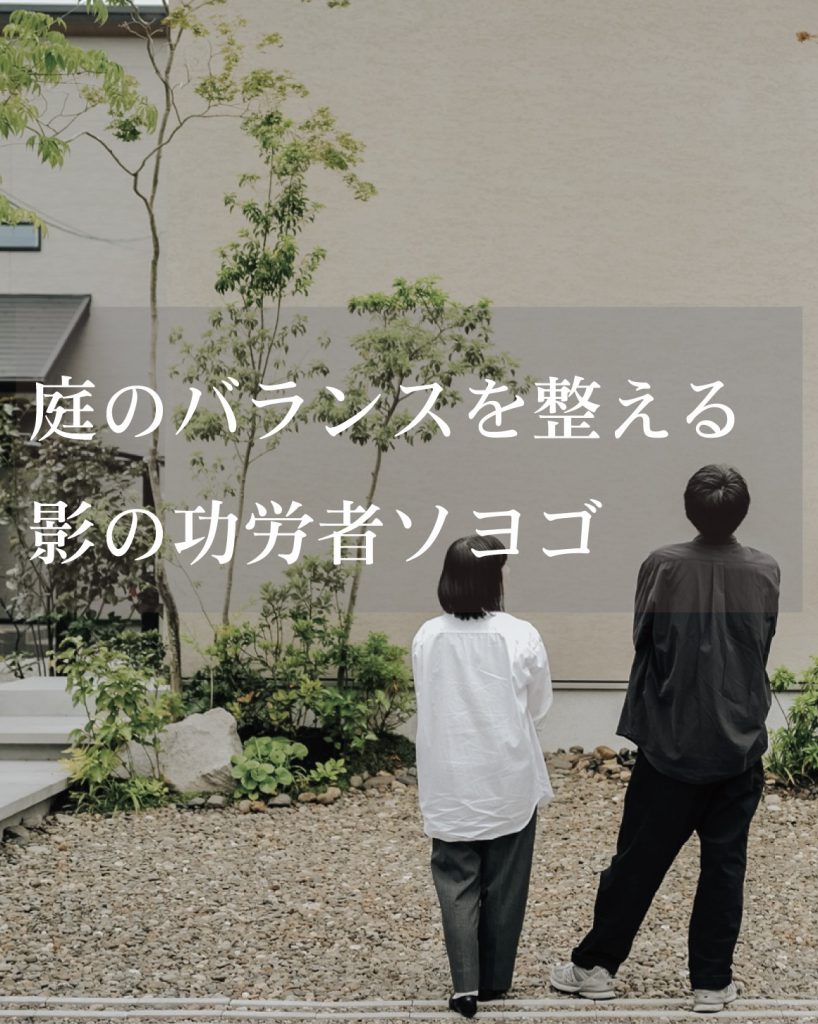 住宅外構に植えられたソヨゴのシンボルツリー