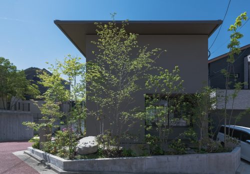 室内から見える植栽とウッドデッキのある外構