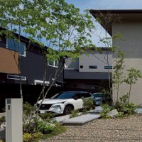 アオダモ 建物と外構に寄り添う植栽