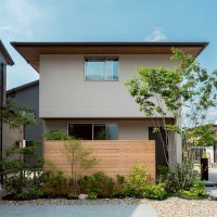 アオダモ 外構と建築をつなぐ植栽