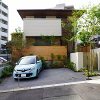 アオダモ 道路側の植栽