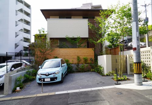 アオダモ 道路側の植栽