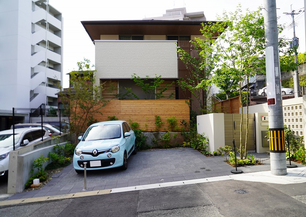 アオダモ 道路側の植栽
