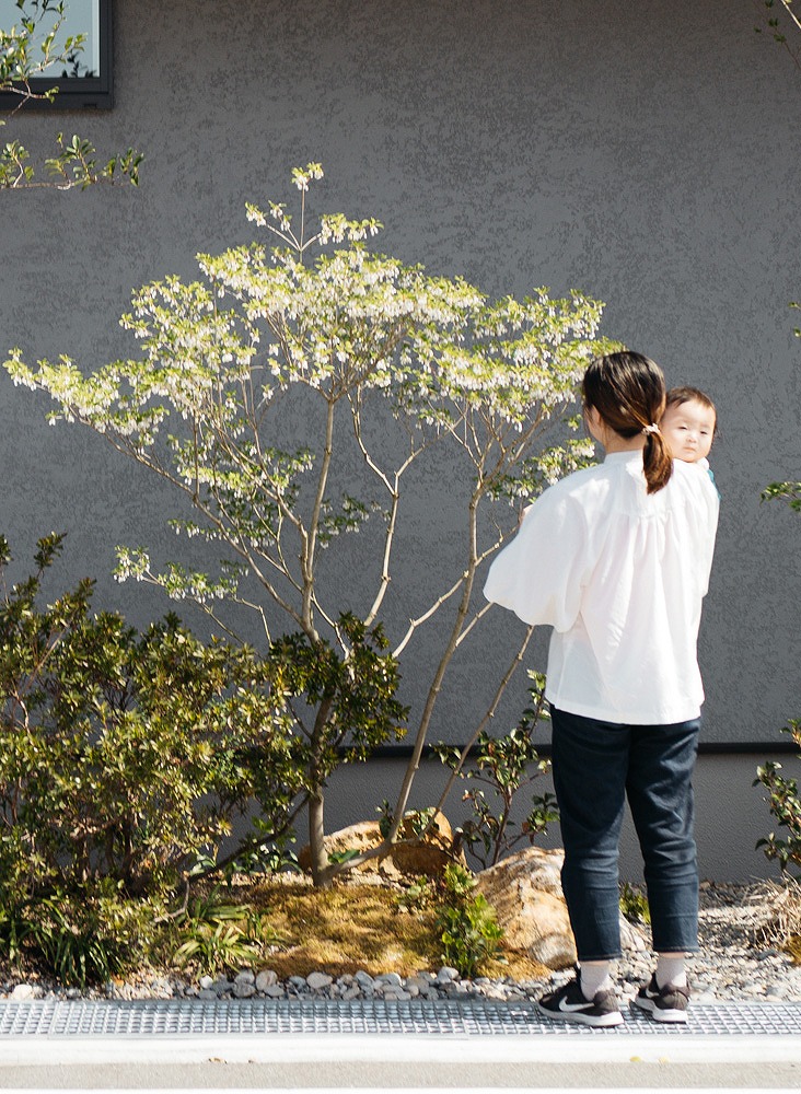 白い花を咲かせるドウダンツツジ