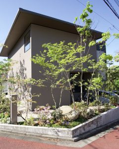 新築外構に植えられたコナラと植栽