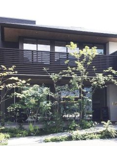 建築の前に植えられたコナラの植栽