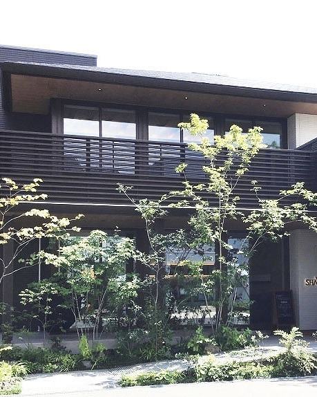 建築の前に植えられたコナラの植栽
