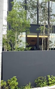 モダンな外壁に合わせたナナミノキの植栽