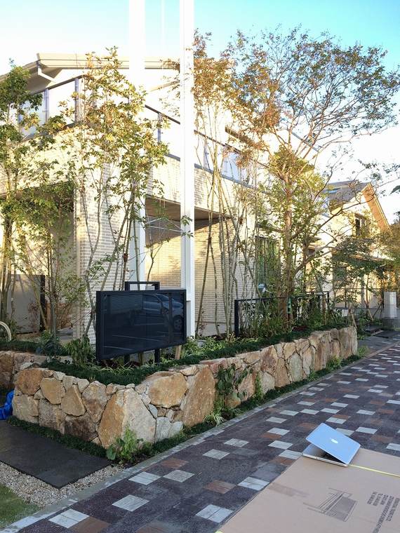 石積みの外構に植えられたサルスベリ