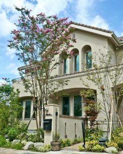 洋風住宅の前に植えられた花の咲くサルスベリ