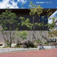 新築外構の植栽本数と高さのバランス