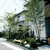 外構植栽としてのヤマザクラ