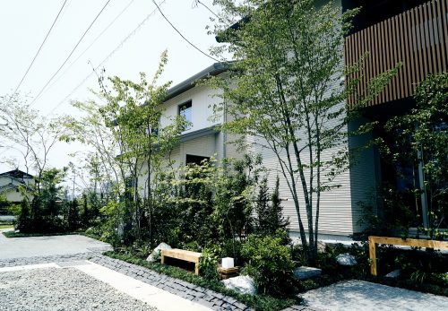 外構植栽としてのヤマザクラ