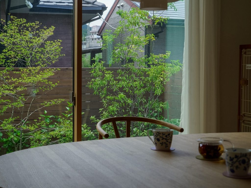 夜の照明で浮かび上がる植栽と建物