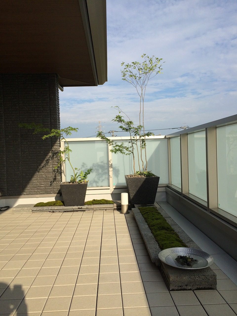 アオダモとイロハモミジを取り入れた植栽計画