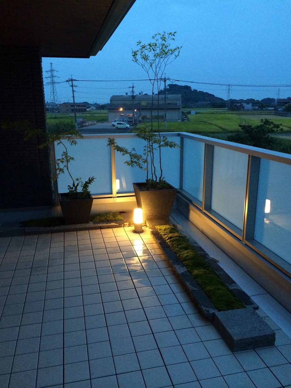 ハイノキとソヨゴで緑の骨格をつくった庭